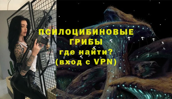 молекула духа Белоозёрский