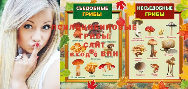 дурь Снежногорск
