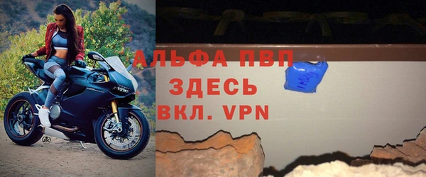 молекула духа Белоозёрский